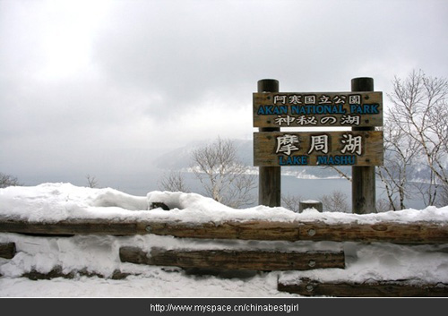 北海道：迷离星空下赏花泡汤